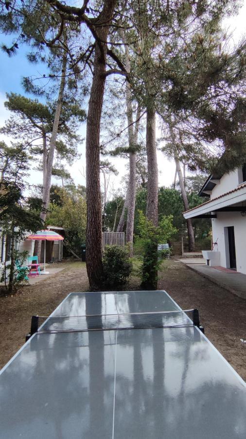 Villa Atelier 4**** Ronce-les-Bains Exterior foto